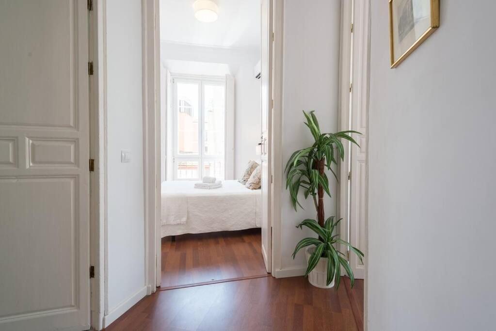 Sunny Malaga Apartments Номер фото