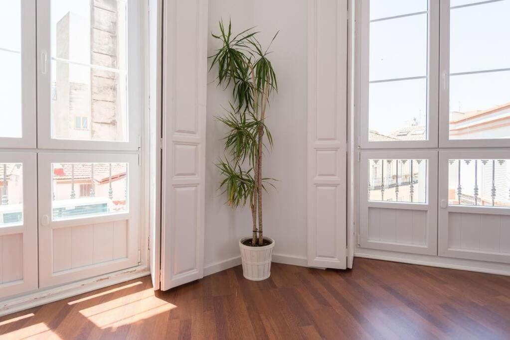 Sunny Malaga Apartments Номер фото