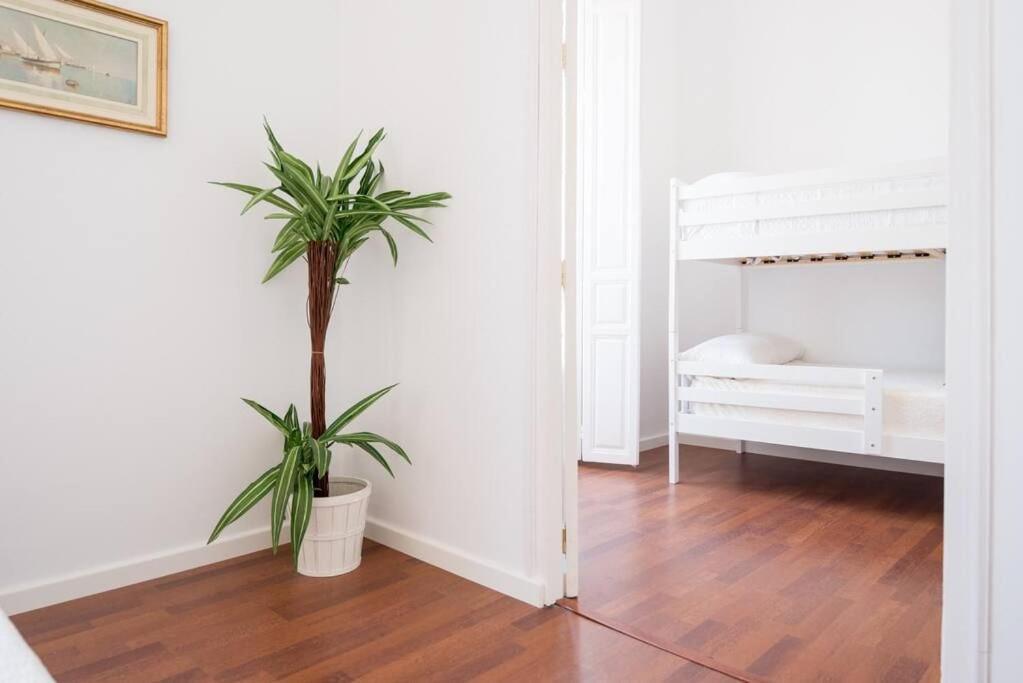 Sunny Malaga Apartments Номер фото